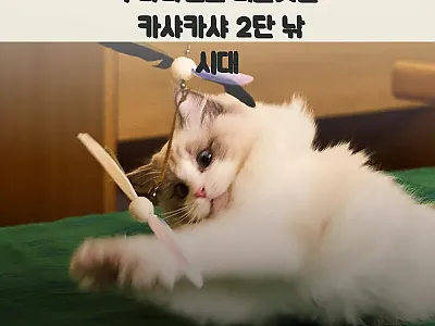 우다다맨숀 더블깃털 카샤카샤 2단 낚 관련 이미지 1